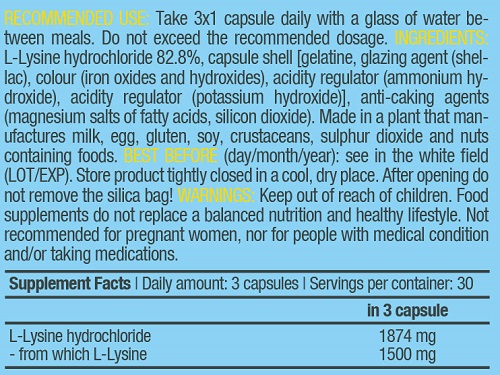 BIOTECH USA L-Lysine 90caps - Image 3